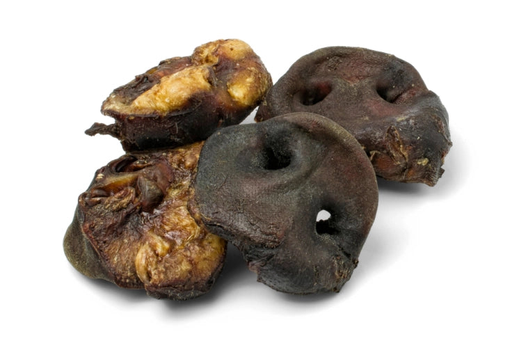 Morros de cerdo para perros