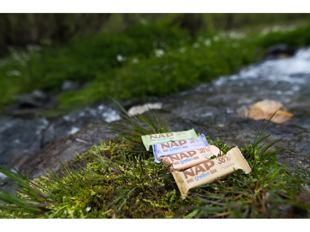 Dog Protein Bar – Pescado 50 g