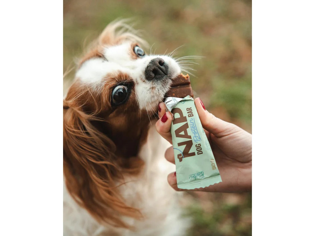 Dog Protein Bar – Pescado 50 g