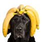 Banana Chews 100 g