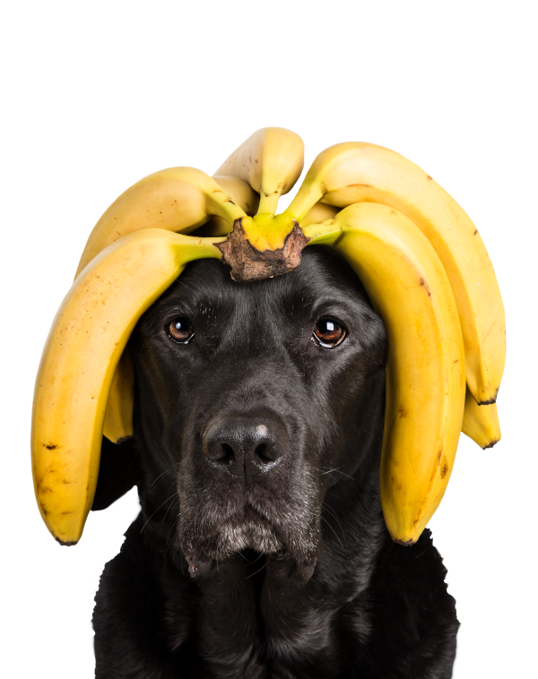 Banana Chews 100 g
