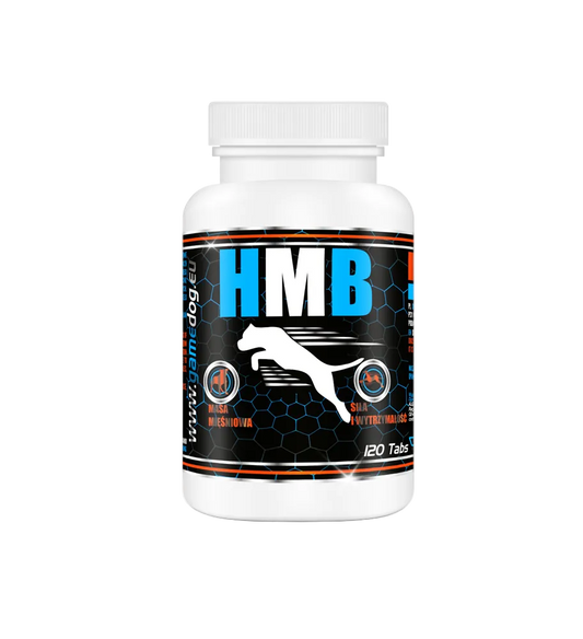 HMB 120 comprimidos
