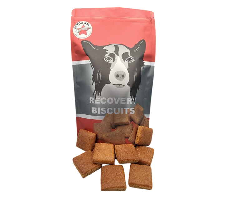 Recovery Biscuits 500 g