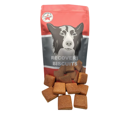 Recovery Biscuits 500 g
