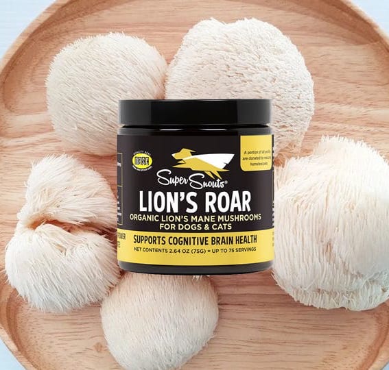 Lion's Roar 75 g