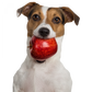 Sweet Apple Chews 100 g