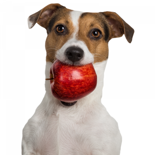 Sweet Apple Chews 100 g