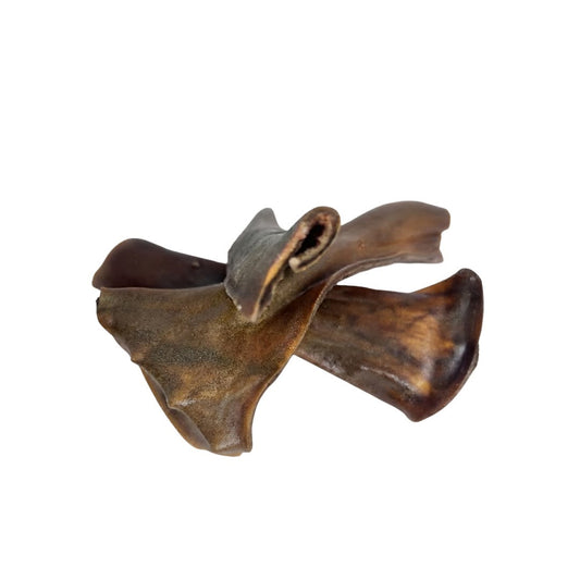 Piel de caballo para perros