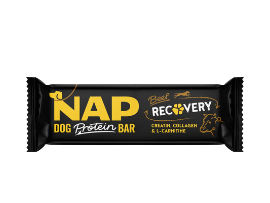 Recovery Dog Protein Bar – Buey 50 g