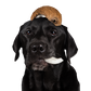 Coconut Chews 100 g