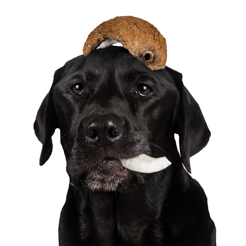 Coconut Chews 100 g
