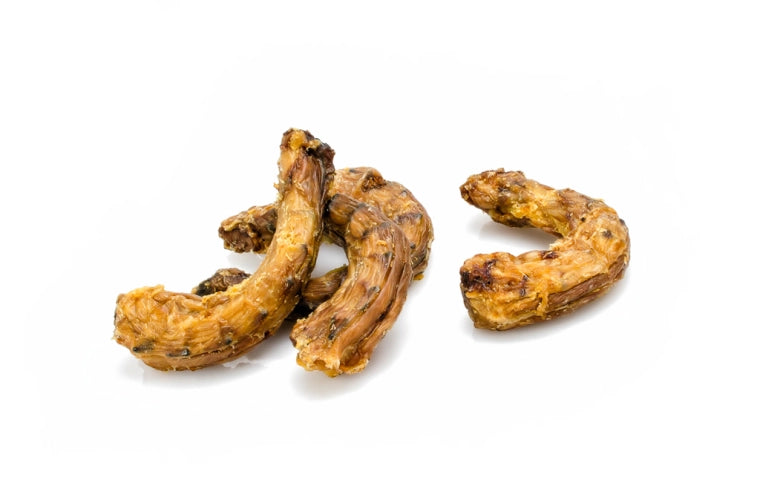 Cuellos de pollo para perros y gatos