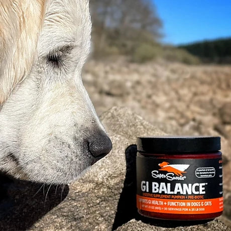 GI Balance 88 g