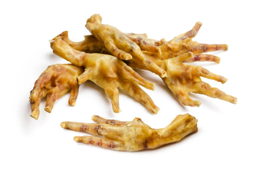 Patas de pollo para perros y gatos
