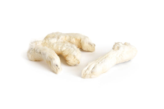 Patas de conejo con pelo para perros