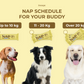 Dog Protein Bar – Pollo 50 g