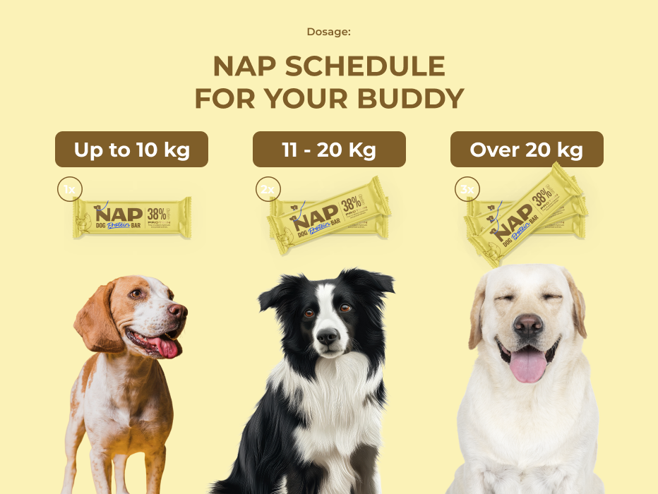 Dog Protein Bar – Pollo 50 g