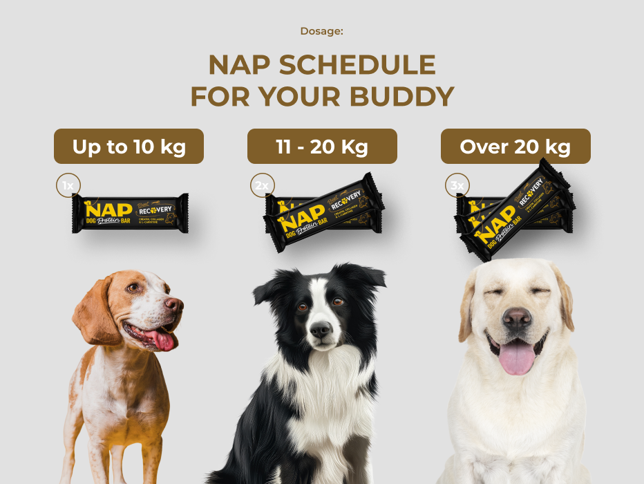 Recovery Dog Protein Bar – Buey 50 g