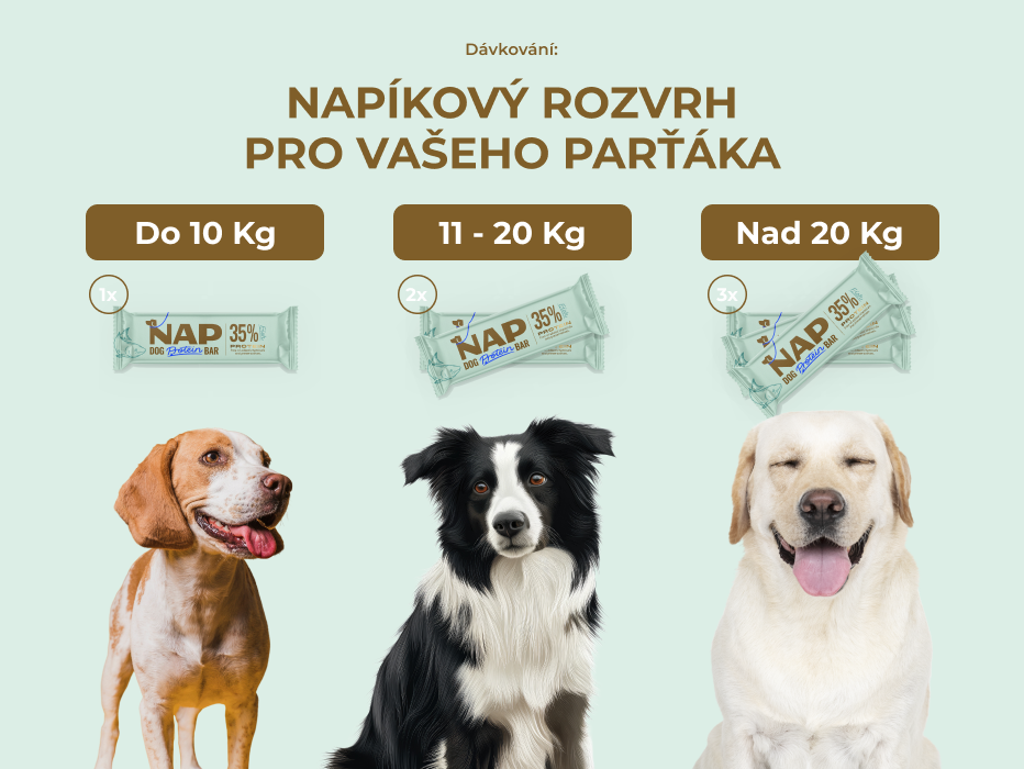 Dog Protein Bar – Pescado 50 g