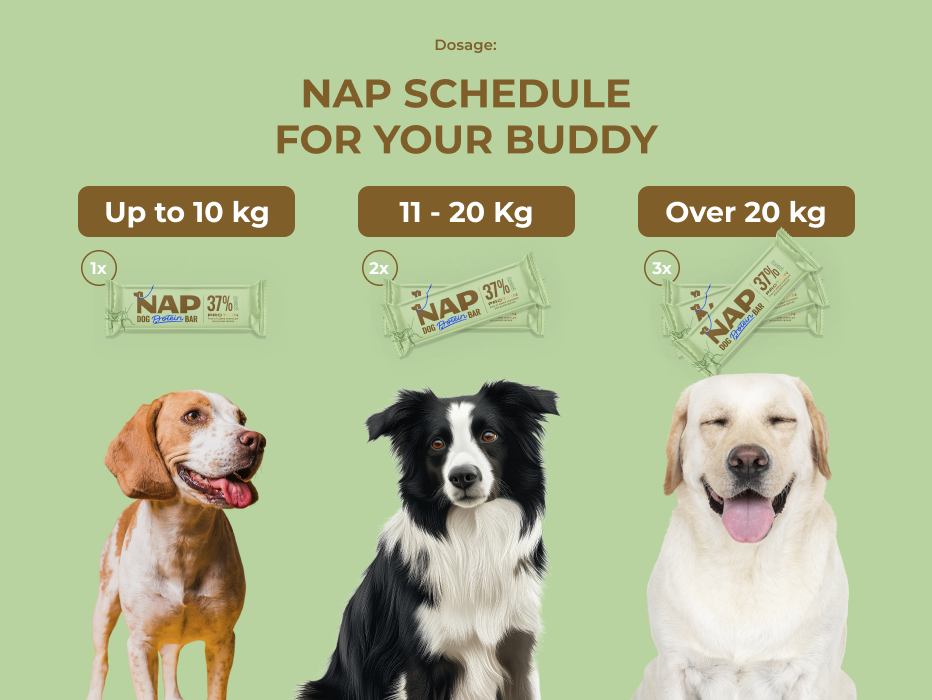 Dog Protein Bar – Insectos 50 g