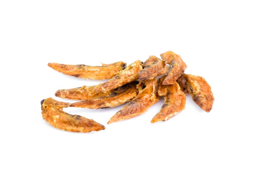 Puntas de alita de pollo para perros y gatos