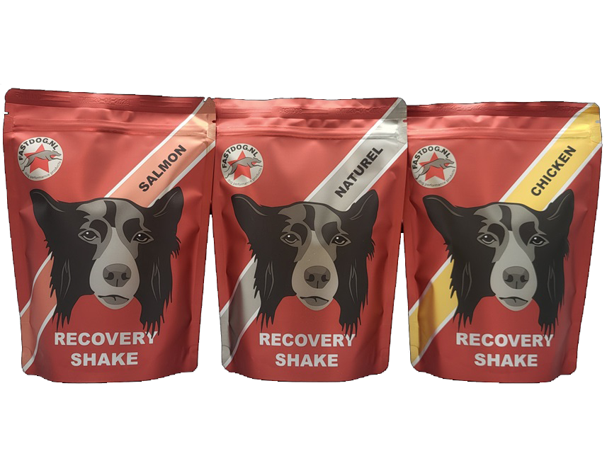 Recovery Shake 500 g
