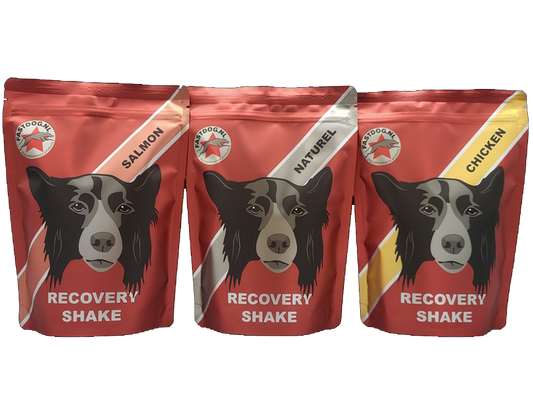 Recovery Shake 500 g