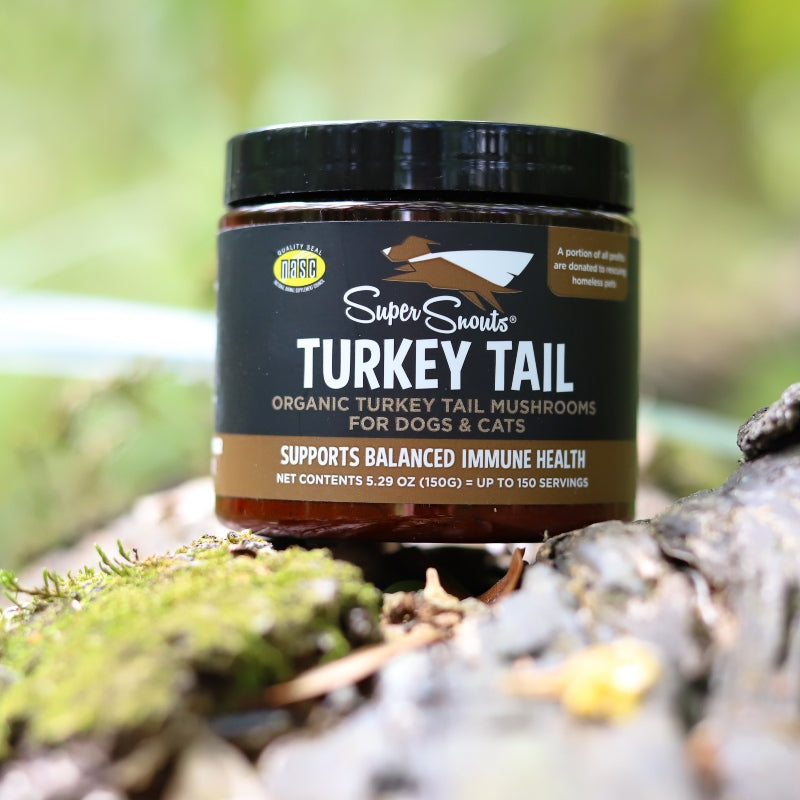 Turkey Tail 75 g