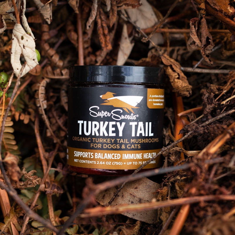 Turkey Tail 75 g