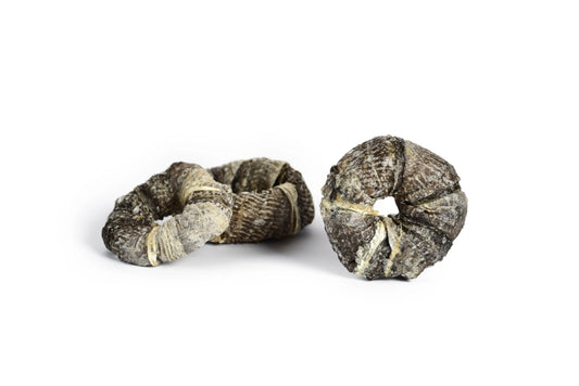 Rosquillas de bacalao para perros